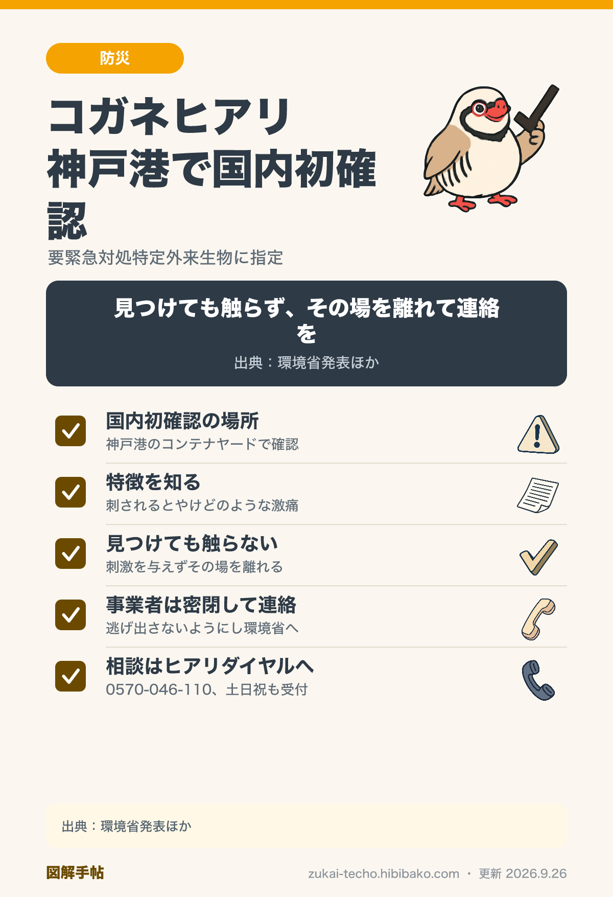 神戸港で国内初確認されたコガネヒアリの特徴と、見つけたときの対処法・相談窓口を示した図解