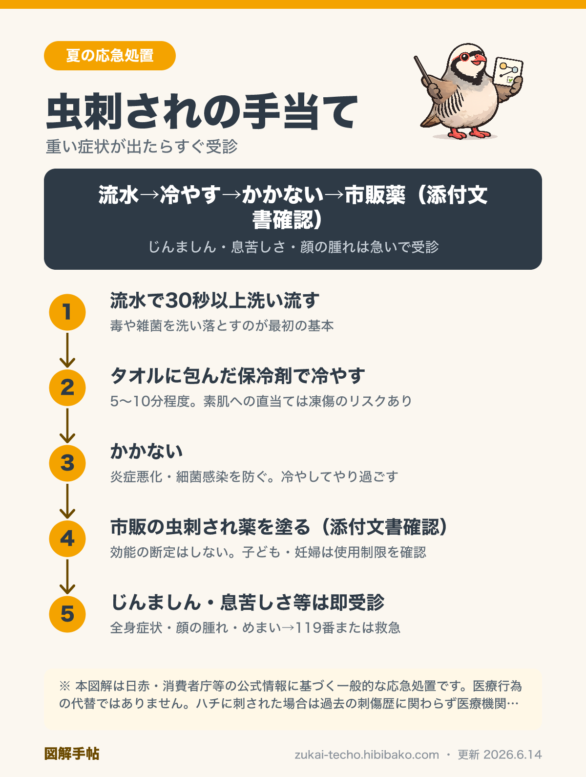 虫刺されの手当て手順（流水・冷却・市販薬・受診のめやす）を示した図解